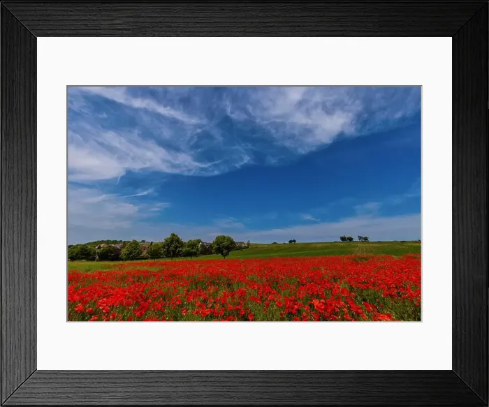 Framed Print : 2s99xdx Framed Print : 2s99xdx