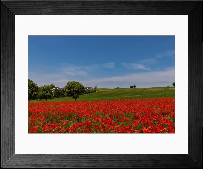 Framed Print : 2s99xeh Framed Print : 2s99xeh