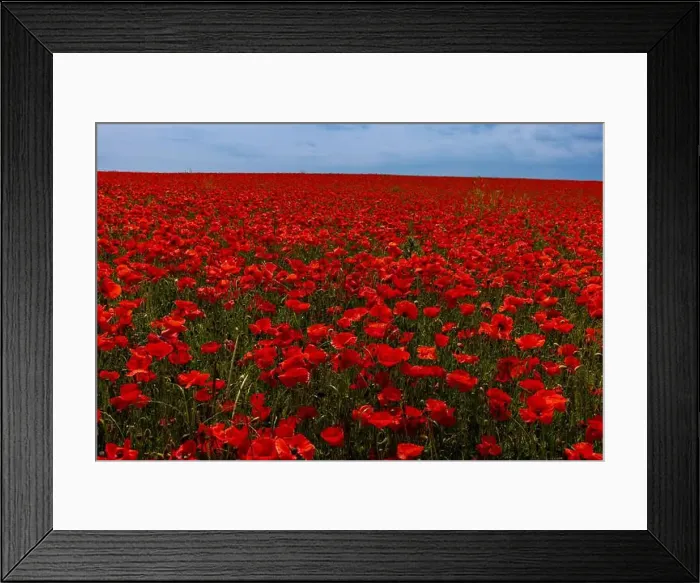 Framed Print : 2s99xem Framed Print : 2s99xem