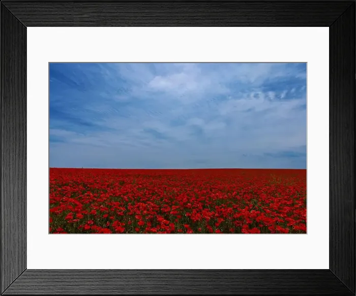 Framed Print : 2s99xf3