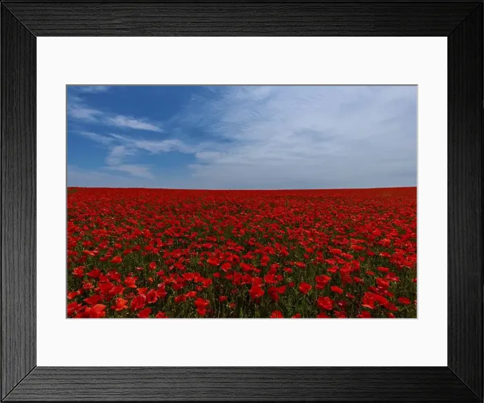 Framed Print : 2s99xf6