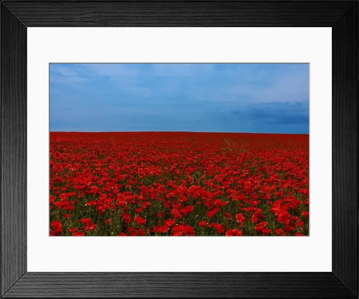 Framed Print : 2s99xfb Framed Print : 2s99xfb