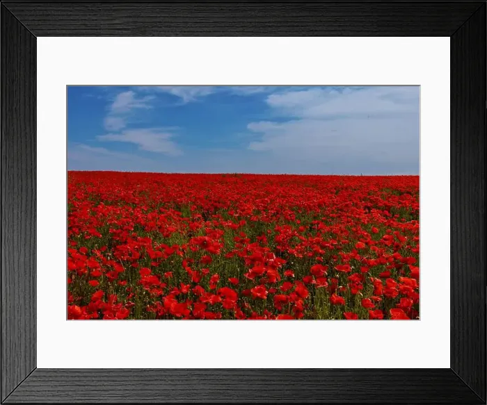 Framed Print : 2s99xff Framed Print : 2s99xff