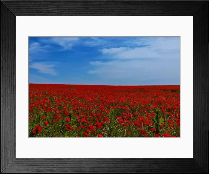 Framed Print : 2s99xfp Framed Print : 2s99xfp