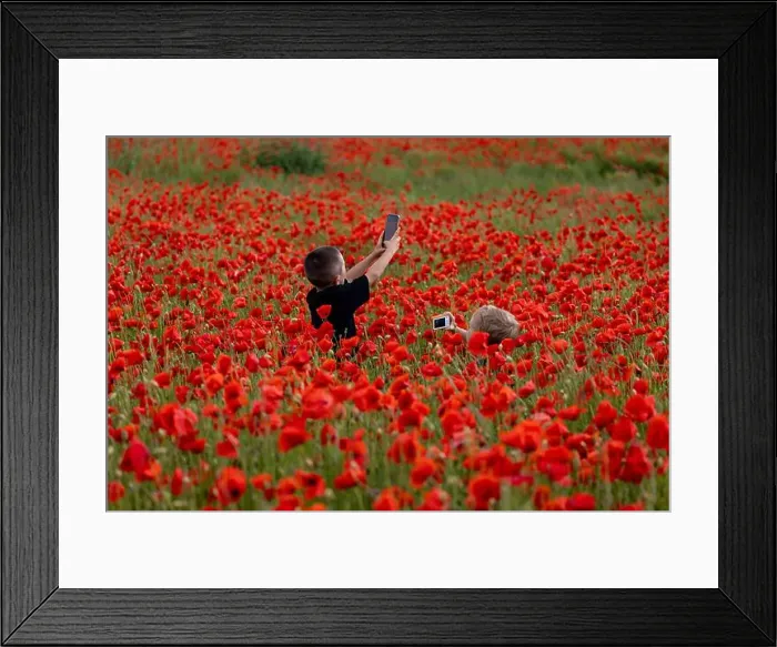 Framed Print : 2s99xfy Framed Print : 2s99xfy