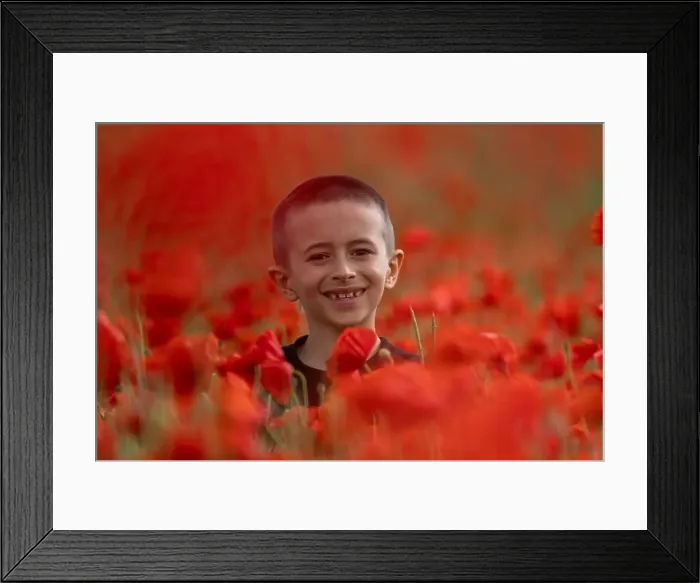 Framed Print : 2s99xg2 Framed Print : 2s99xg2