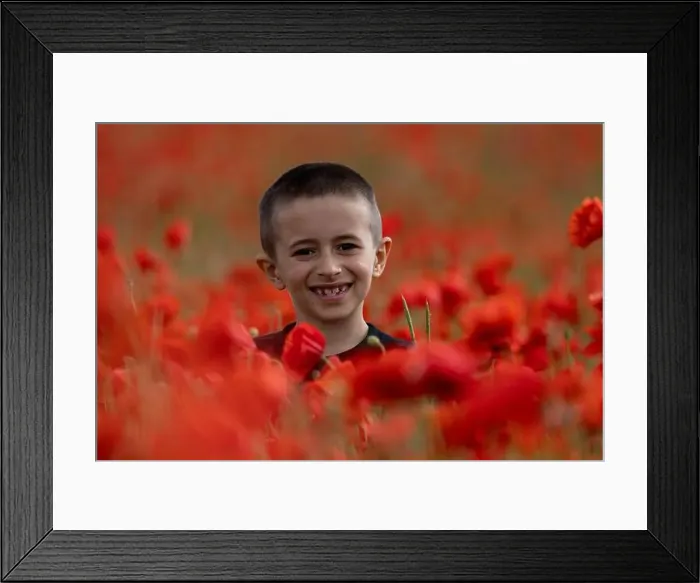 Framed Print : 2s99xg4 Framed Print : 2s99xg4