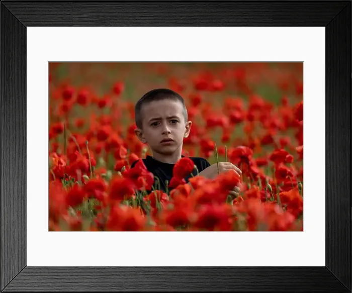Framed Print : 2s99xg6 Framed Print : 2s99xg6