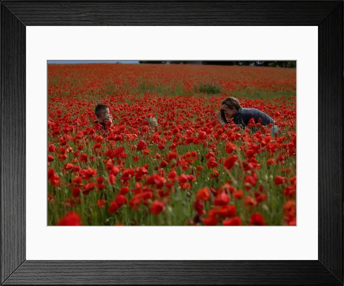 Framed Print : 2s99xg7 Framed Print : 2s99xg7