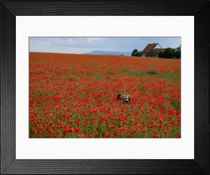 Framed Print : 2s99xgb Framed Print : 2s99xgb