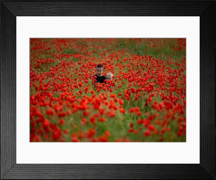 Framed Print : 2s99xgd Framed Print : 2s99xgd