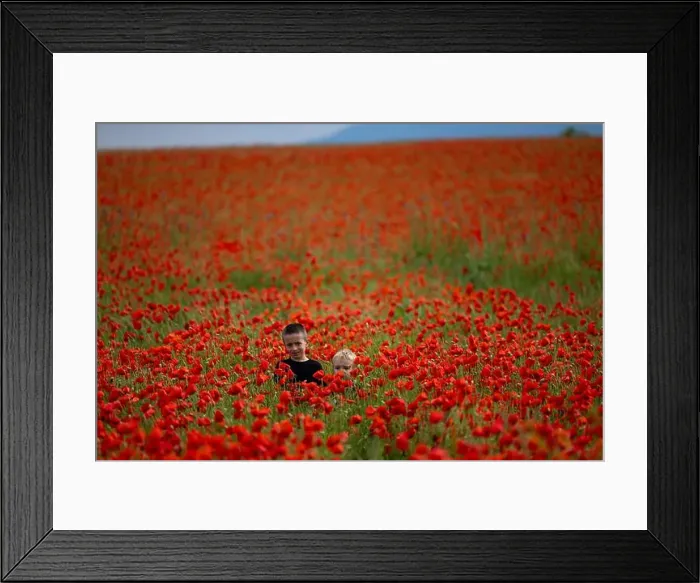 Framed Print : 2s99xhg Framed Print : 2s99xhg