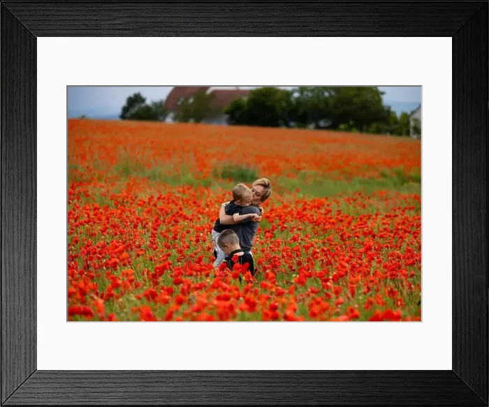 Framed Print : 2s99xjb Framed Print : 2s99xjb