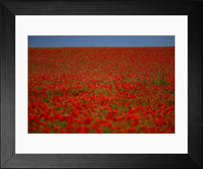 Framed Print : 2s99xjj Framed Print : 2s99xjj