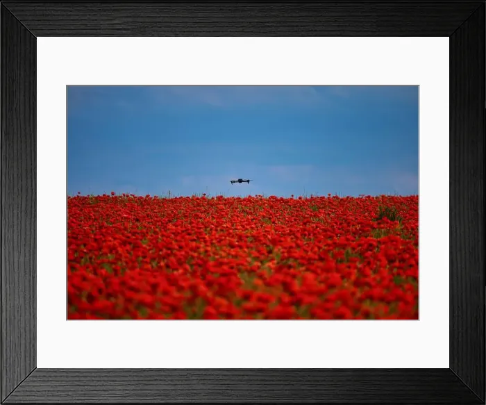 Framed Print : 2s99xk4 Framed Print : 2s99xk4