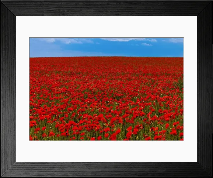 Framed Print : 2s99xk7 Framed Print : 2s99xk7