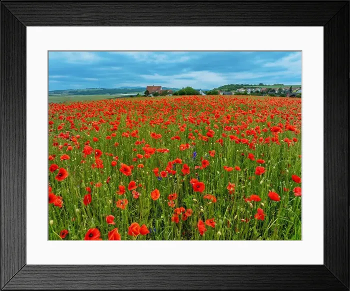 Framed Print : 2s9a04h Framed Print : 2s9a04h