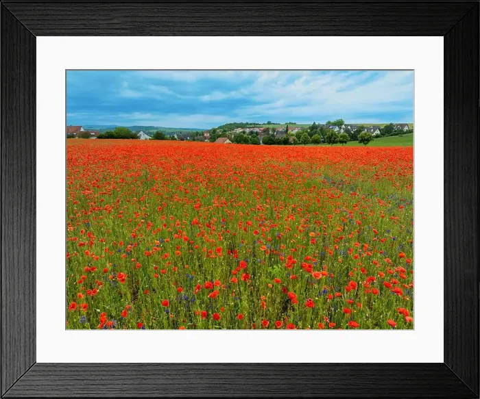 Framed Print : 2s9a053 Framed Print : 2s9a053