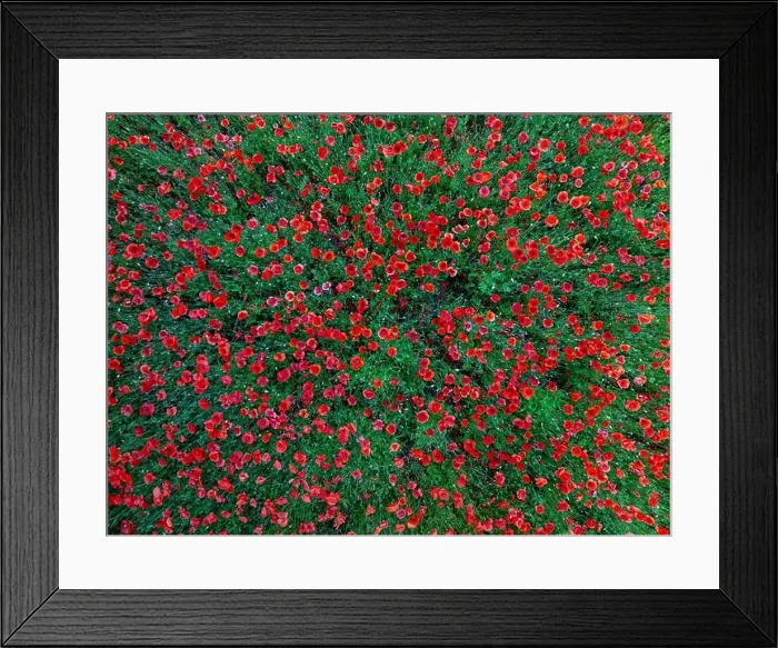 Framed Print : 2s9a057 Framed Print : 2s9a057