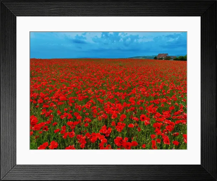 Framed Print : 2s9a05j Framed Print : 2s9a05j