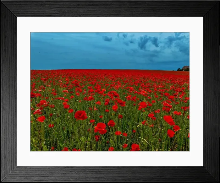 Framed Print : 2s9a05n Framed Print : 2s9a05n