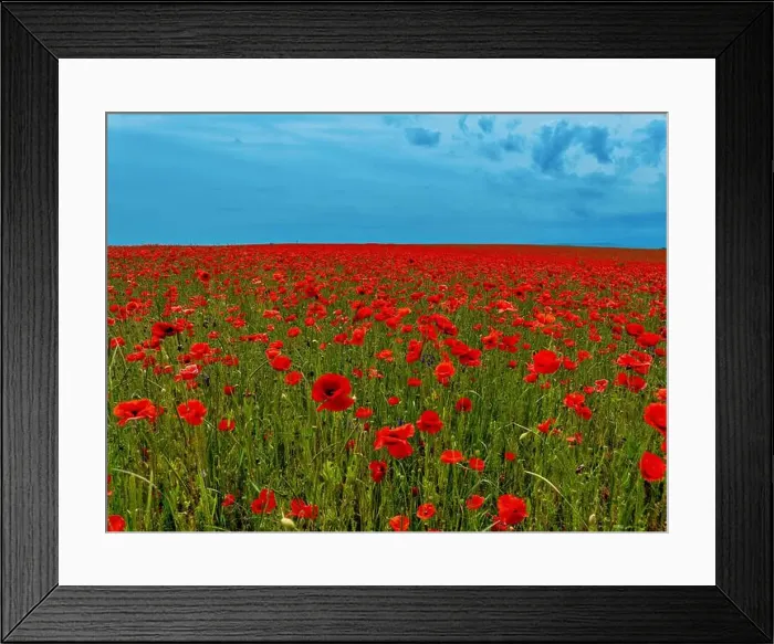 Framed Print : 2s9a05p Framed Print : 2s9a05p