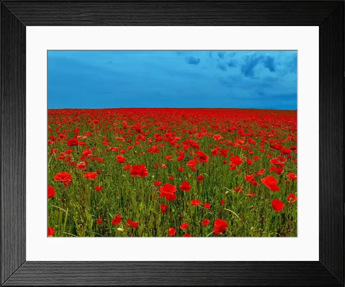 Framed Print : 2s9a05r Framed Print : 2s9a05r