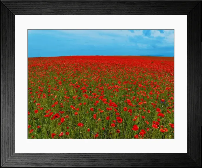 Framed Print : 2s9a05t Framed Print : 2s9a05t