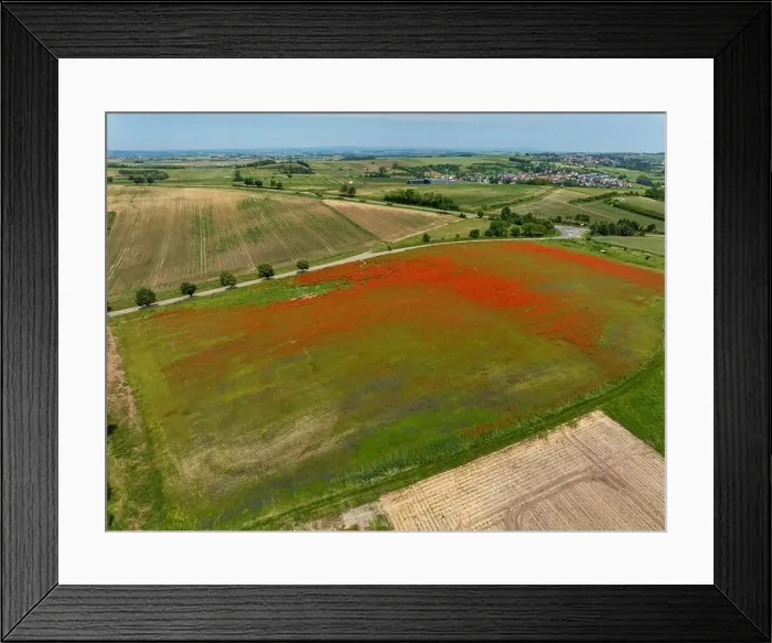 Framed Print : 2s9a062 Framed Print : 2s9a062