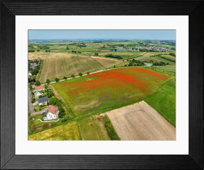 Framed Print : 2s9a063 Framed Print : 2s9a063