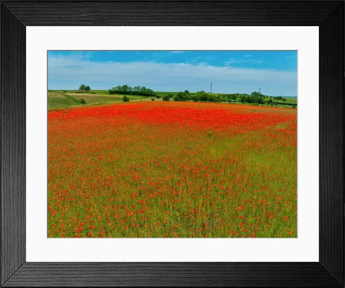 Framed Print : 2s9a06n Framed Print : 2s9a06n