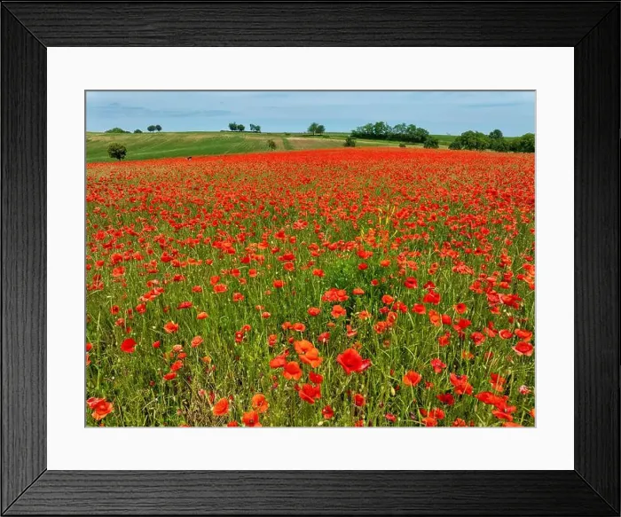 Framed Print : 2s9a08a Framed Print : 2s9a08a