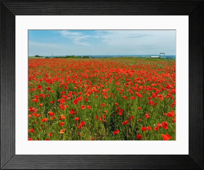 Framed Print : 2s9a08c Framed Print : 2s9a08c