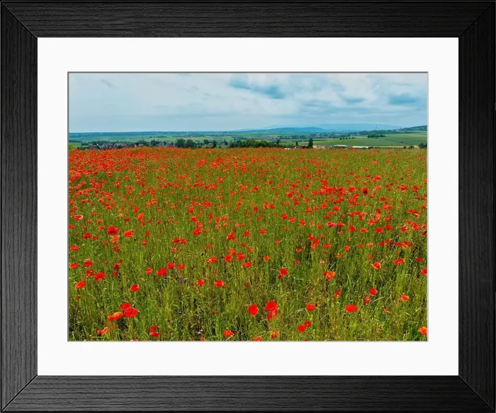 Framed Print : 2s9a08e Framed Print : 2s9a08e