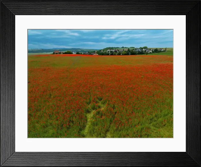 Framed Print : 2s9a08j Framed Print : 2s9a08j