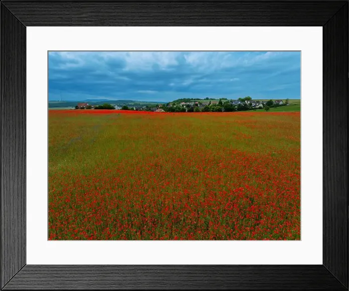 Framed Print : 2s9a08k Framed Print : 2s9a08k