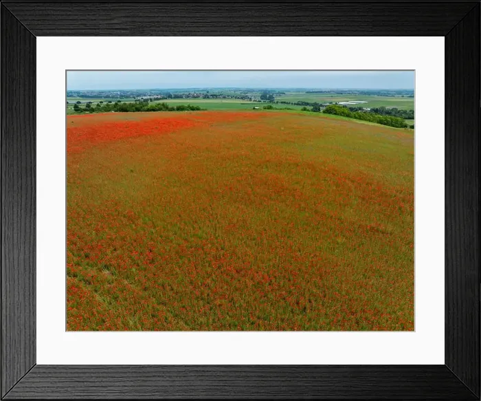 Framed Print : 2s9a08r Framed Print : 2s9a08r