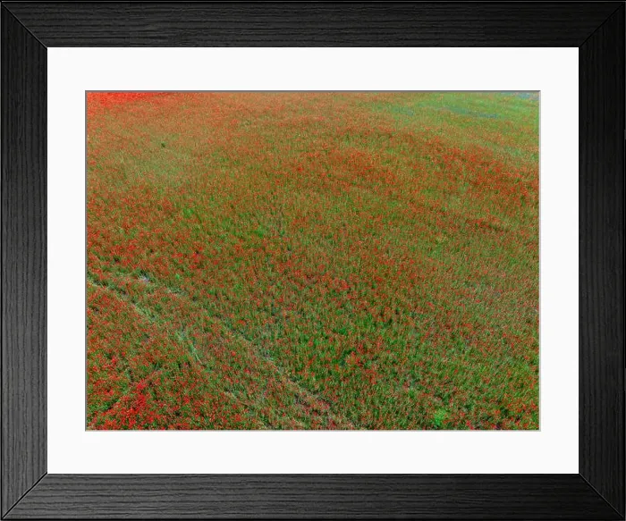 Framed Print : 2s9a08t Framed Print : 2s9a08t