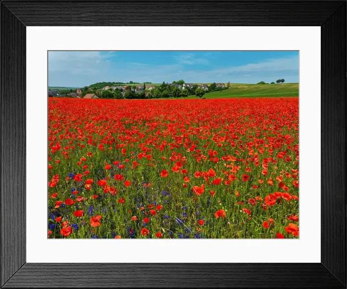 Framed Print : 2s9a091 Framed Print : 2s9a091