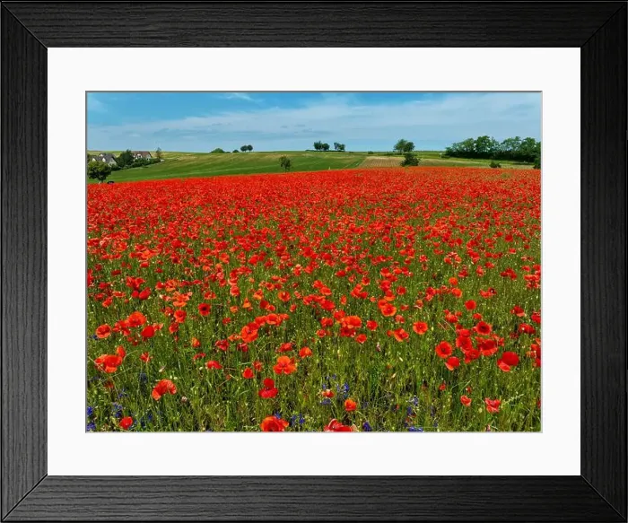 Framed Print : 2s9a093 Framed Print : 2s9a093