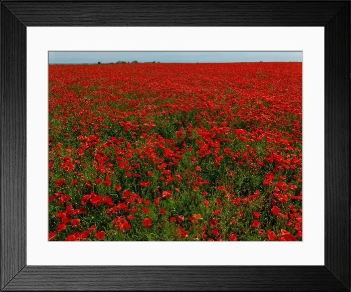 Framed Print : 2s9a094 Framed Print : 2s9a094