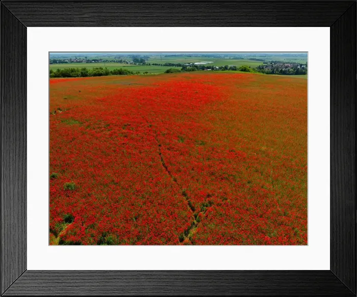 Framed Print : 2s9a099 Framed Print : 2s9a099