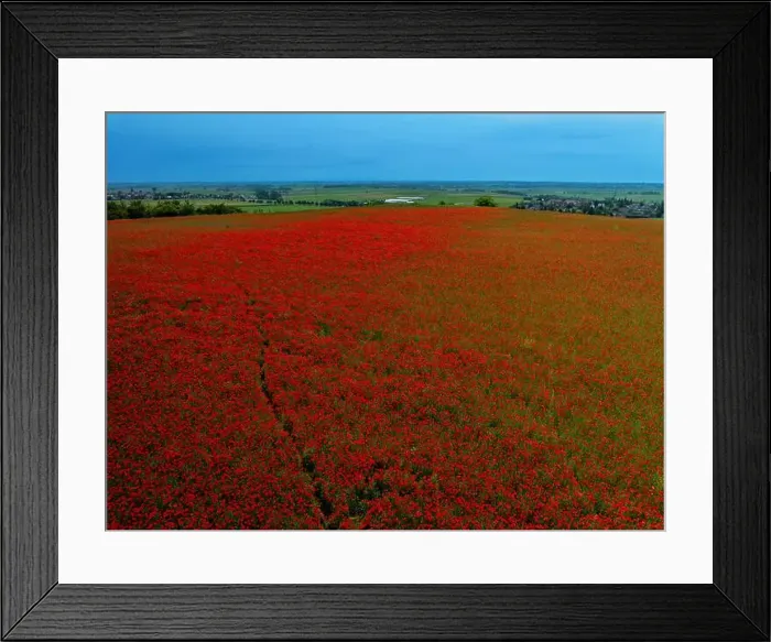 Framed Print : 2s9a09b Framed Print : 2s9a09b