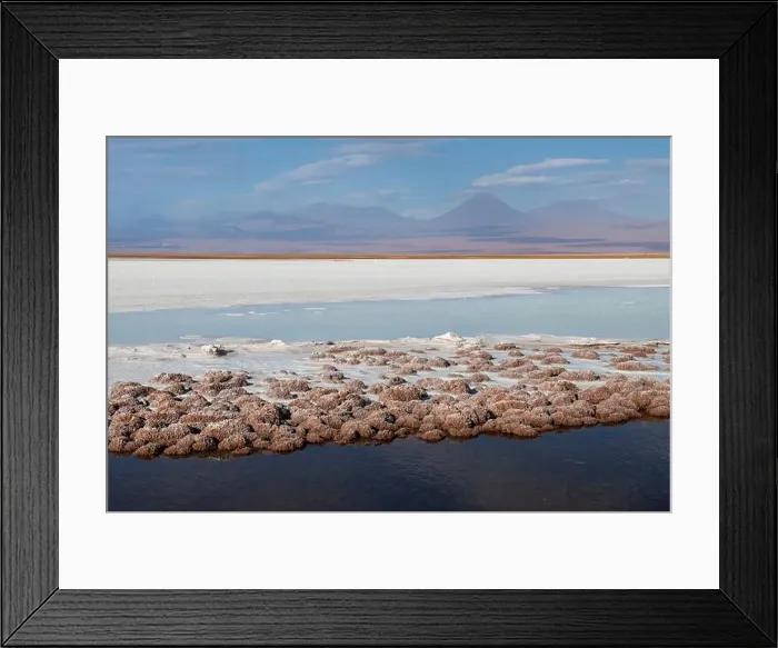 Framed Print : 2s9aebj Framed Print : 2s9aebj