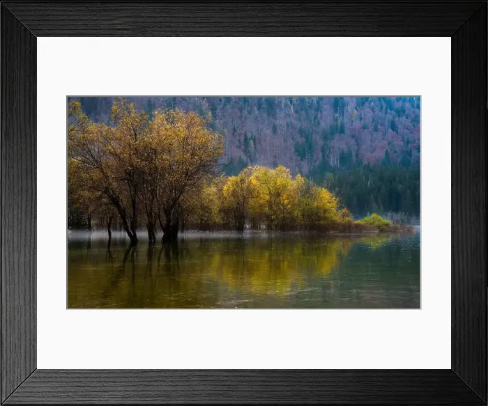 Framed Print : 2s9h626 Framed Print : 2s9h626