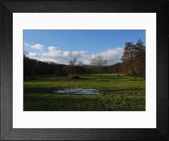Framed Print : 2s9j0fj