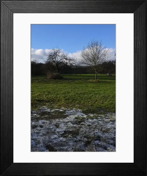 Framed Print : 2s9j0w2 Framed Print : 2s9j0w2