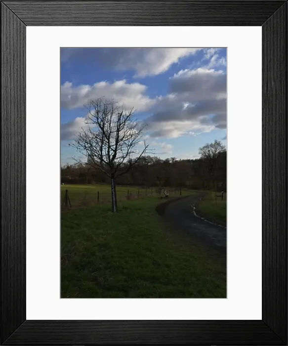 Framed Print : 2s9j12n Framed Print : 2s9j12n