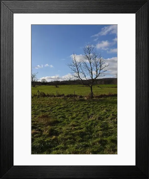 Framed Print : 2s9j1be Framed Print : 2s9j1be
