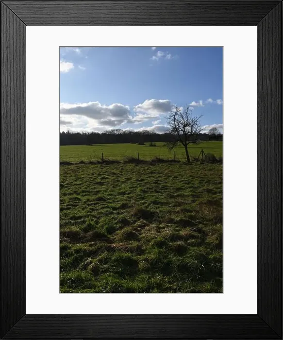 Framed Print : 2s9j1bw Framed Print : 2s9j1bw
